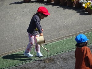 DSC07014