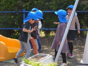 DSC07134