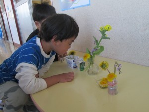 IMG_6922