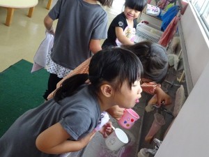 DSC07995