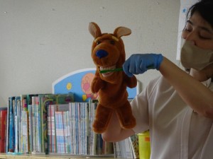 DSC08012