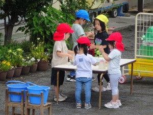 DSC08288