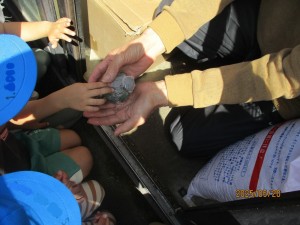 IMG_5513