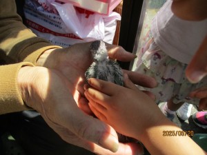 IMG_5515