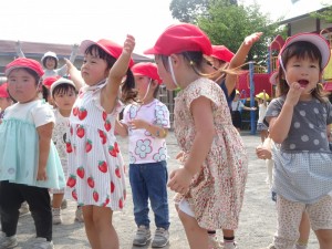 DSC08656